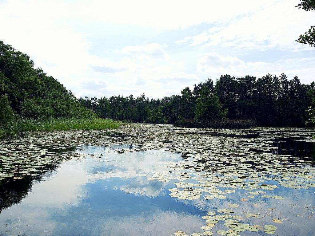 Вилла Domek Letniskowy Grazyna Копалино Экстерьер фото